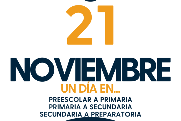 NOVIEMBRE (15)