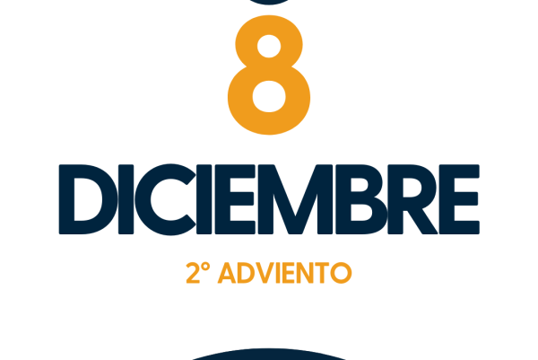 NOVIEMBRE (7)